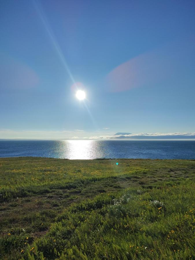 Happy-Cove Guesthouse - By The Sea Bakkafjorthur 外观 照片